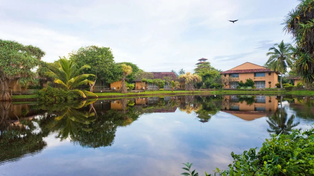 Estates Investment in Maravilla