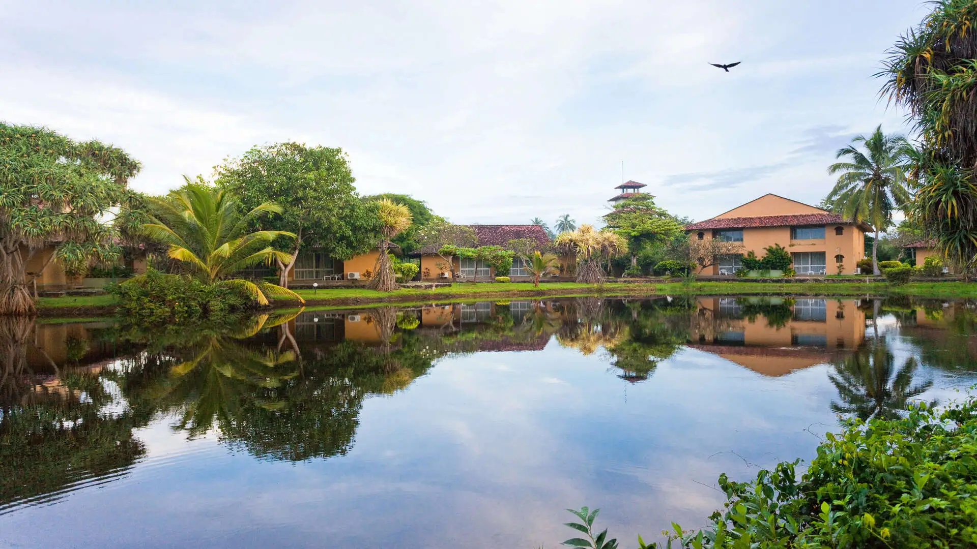 Estates Investment in Maravilla